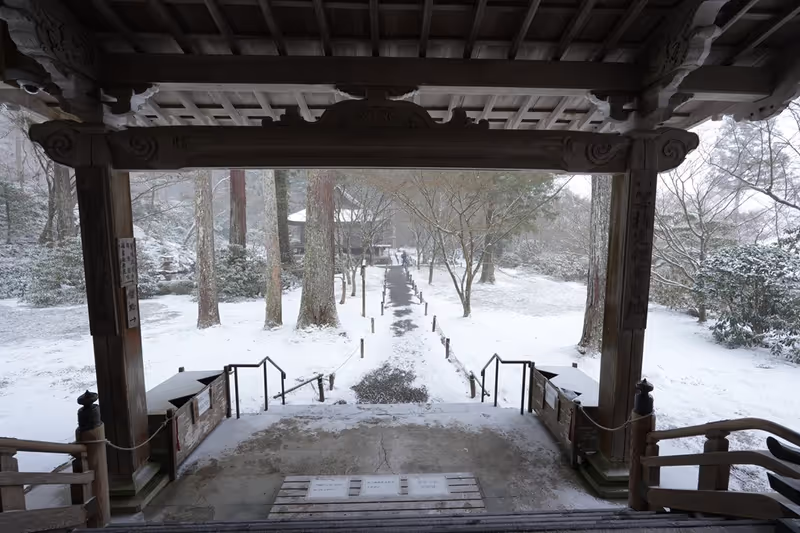 Kyoto Private Tour - Sanzen-in Temple 1