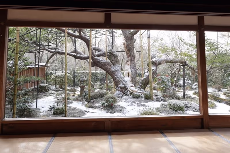 Kyoto Private Tour - Hosen-in Temple 1