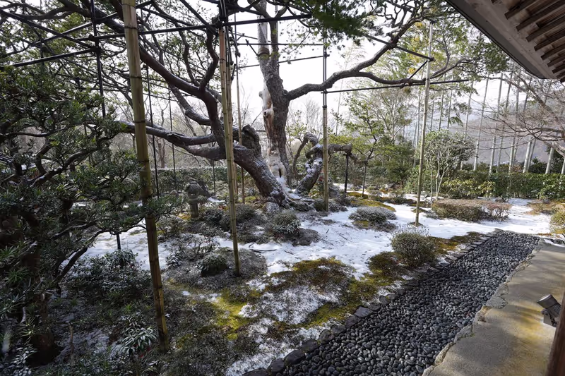 Kyoto Private Tour - Hosen-in Temple 2