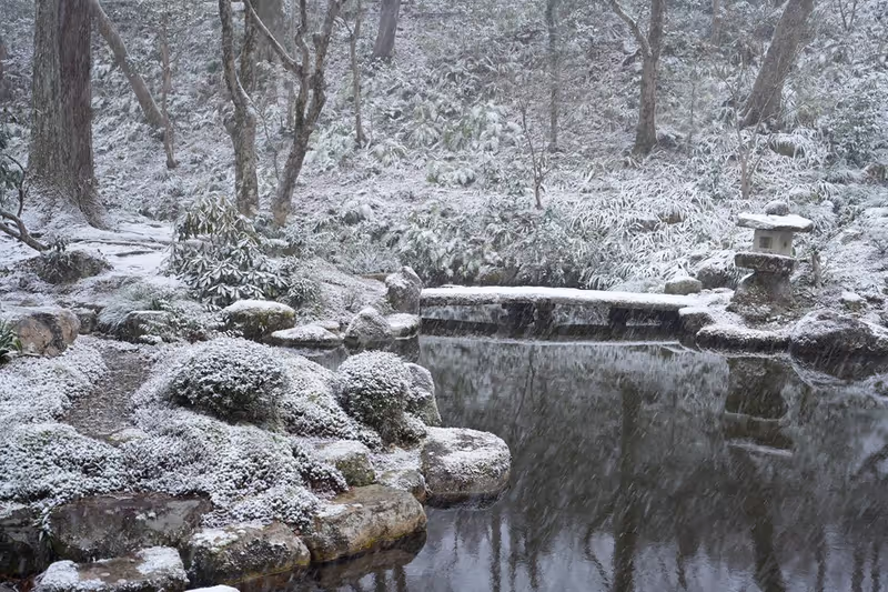 Kyoto Private Tour - Sanzen-in Temple 2