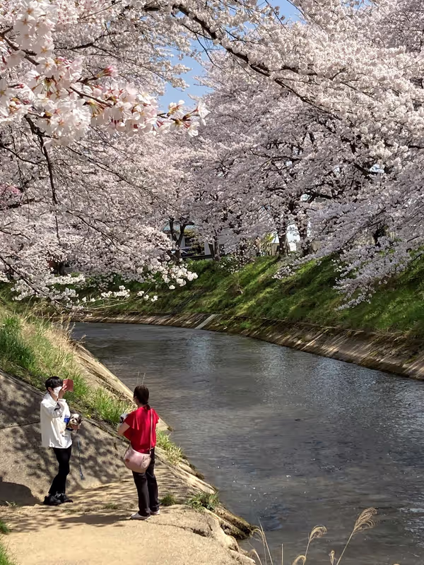 Fukui Private Tour - Walking down to the river.