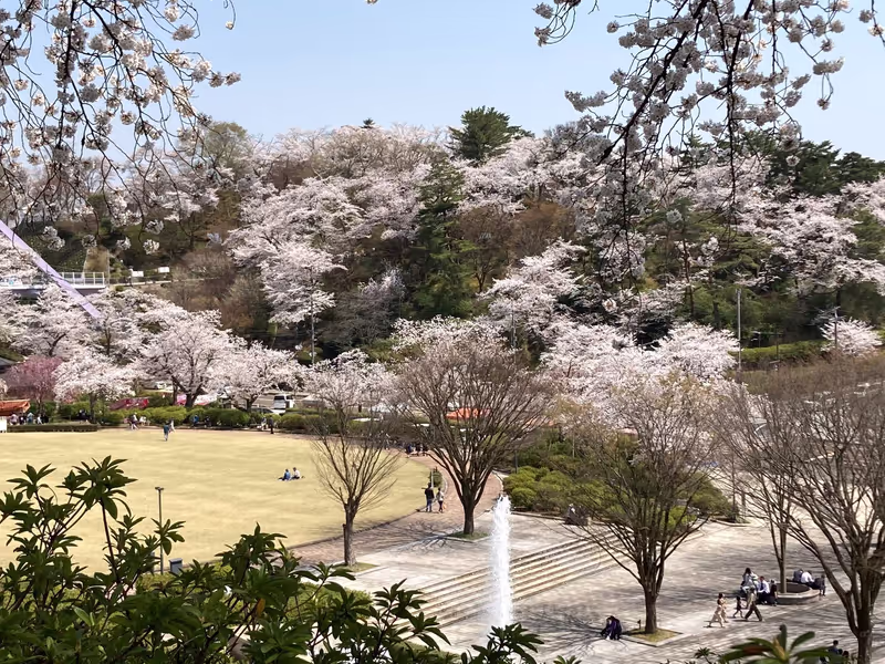 Fukui Private Tour - Nishiyama Park