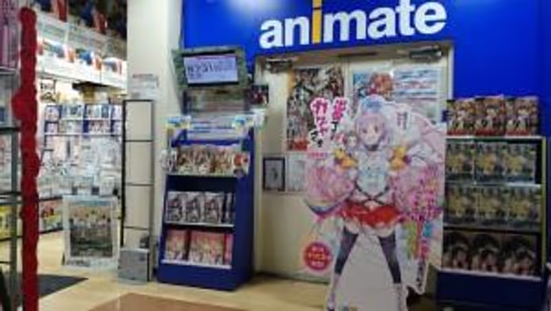 Tokyo Private Tour - Animate