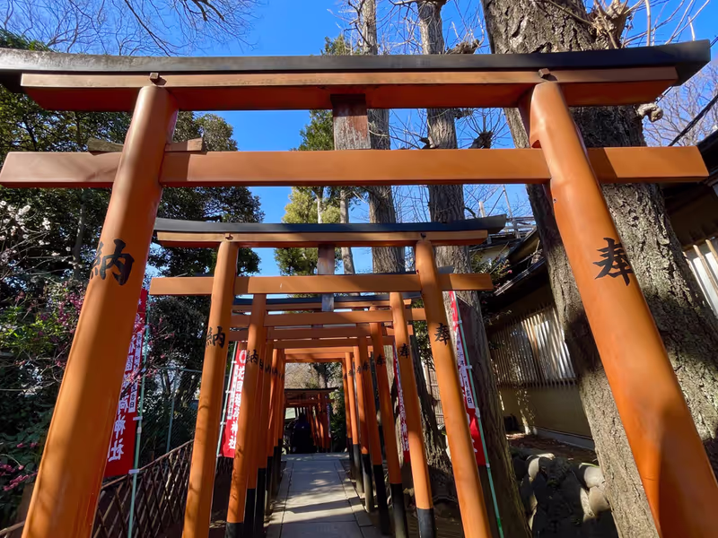 Tokyo Private Tour - A charming small shrine in Ueno park