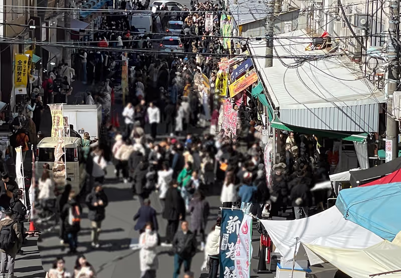 Tokyo Private Tour - Tsukiji outer market,  Let's sample fresh seafood