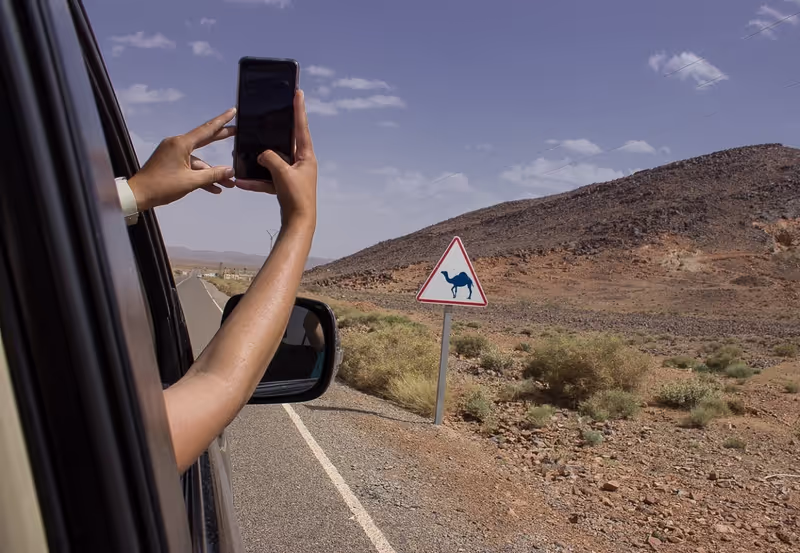 Marrakech Private Tour - Camel wearing sign along the way to Sahara desert