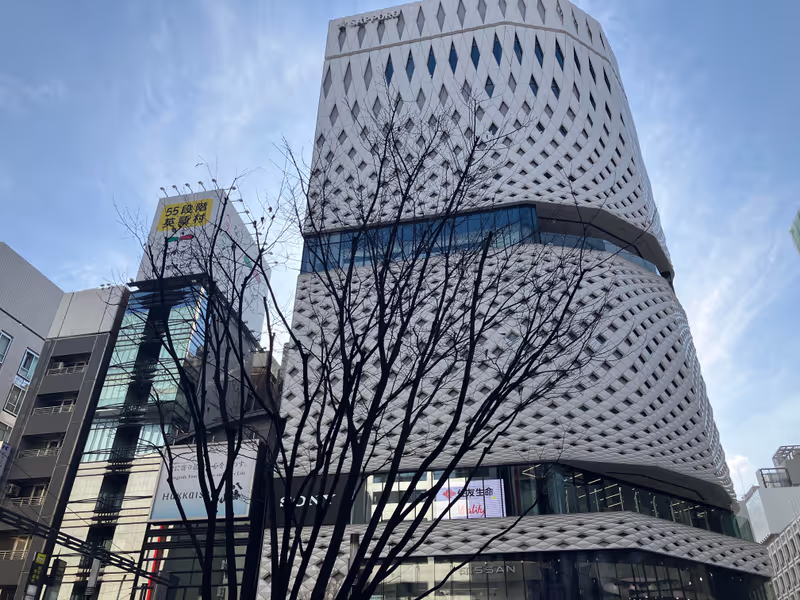 Tokyo Private Tour - Architecture in Ginza