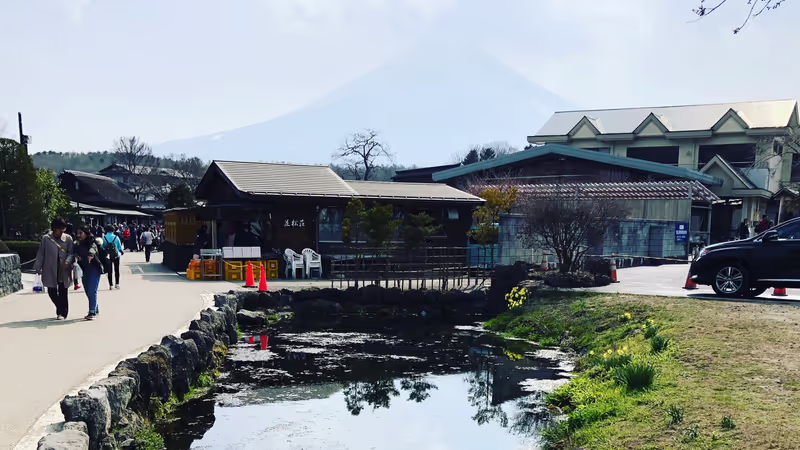 Tokyo Private Tour - Mt. Fuji at Oshino Hakkai