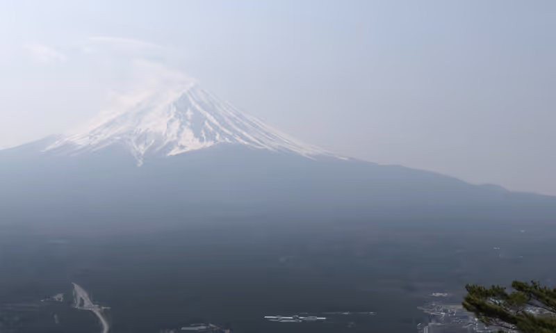 Tokyo Private Tour - Watching Mt. Fuji at Mt. Tenjo
