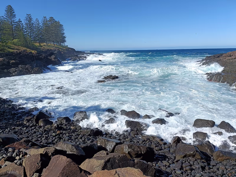 Sydney Private Tour - Magnificient coastline walks