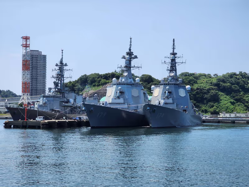Tokyo Private Tour - USA Naval Cruisers