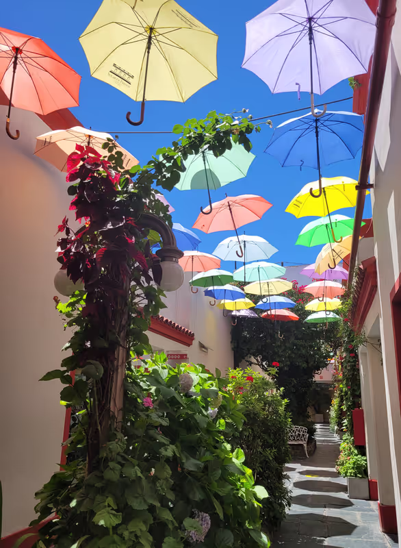 Buenos Aires Private Tour - San Telmo