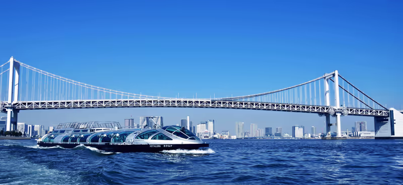 Tokyo Private Tour - Tokyo Cruz