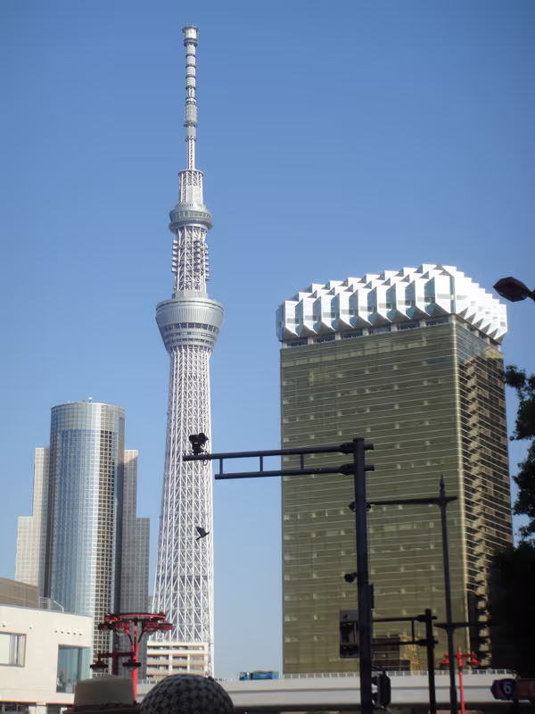 Tokyo Private Tour - Tokyo Skytree from Asakusa