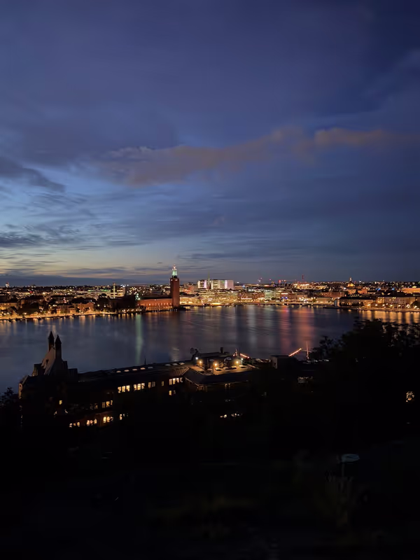 Stockholm Private Tour - Night view