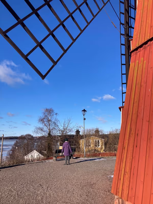 Stockholm Private Tour - Windmill