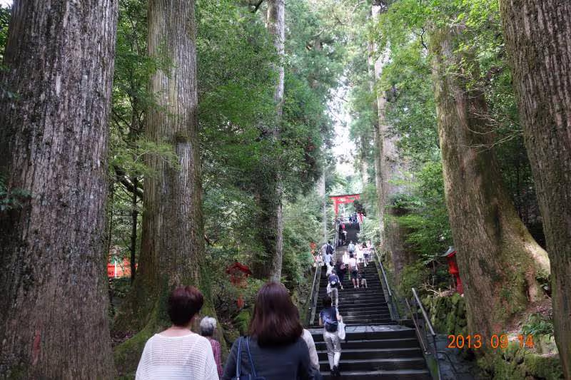 Hakone Private Tour - Hakone Shrine