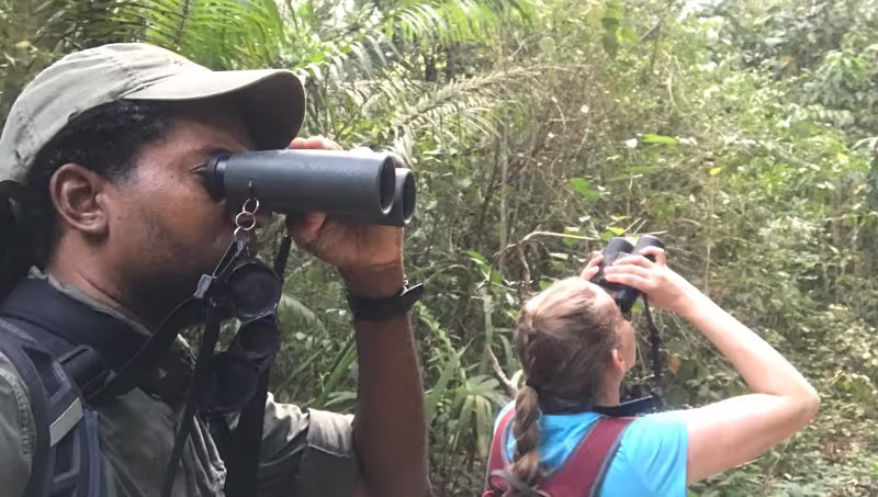 Panama City Private Tour - Birdwatching!