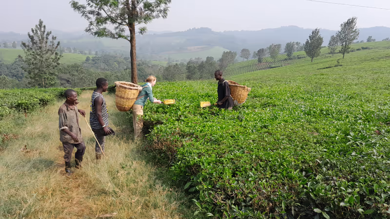Fort Portal Private Tour - 
