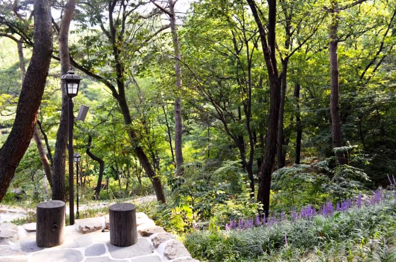 Seoul Private Tour - The relics and forest of Buam Park