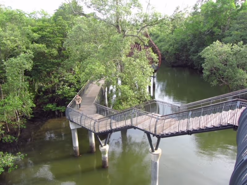Singapore Private Tour - Elevated Boardwalk at Sungei Buloh Wetland Reserve