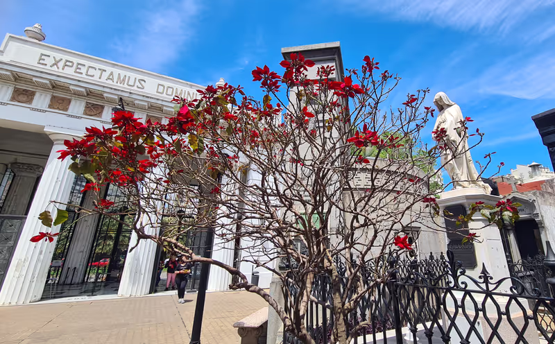 Buenos Aires Private Tour - Recoleta cemetary, Buenos Aires