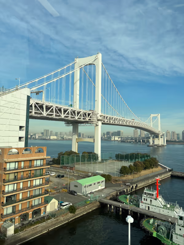 Tokyo Private Tour - Rainbow Bridge