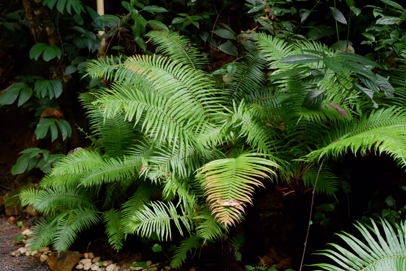 Chiang Mai Private Tour - Nature at its best!