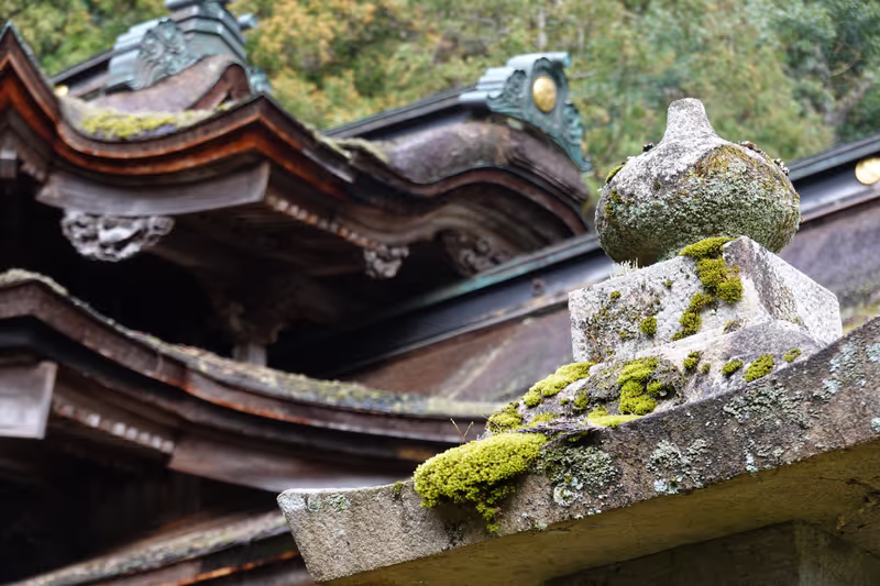 Fukui Private Tour - Most Complicated shrine roofs all over Japan