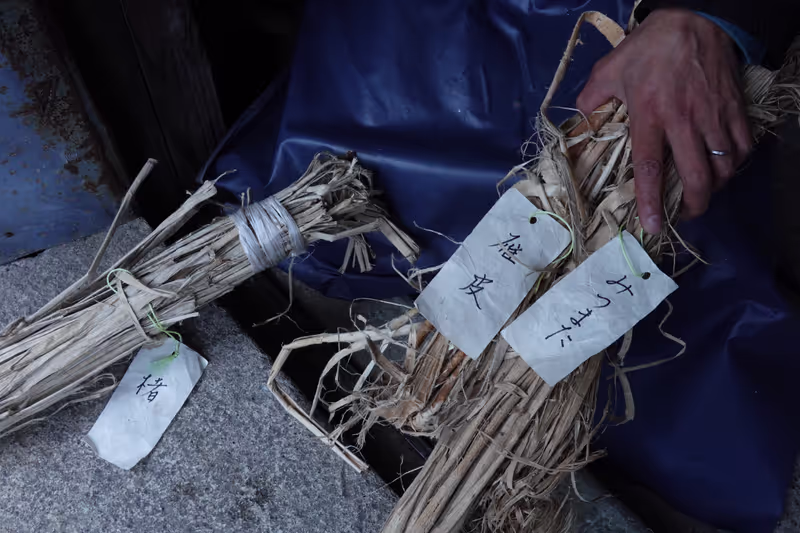 Fukui Private Tour - Washi Material