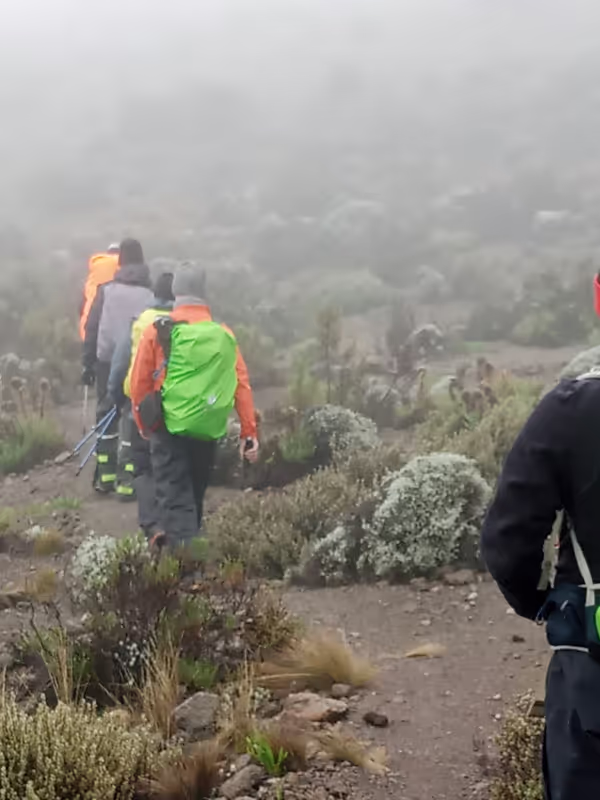 Kilimanjaro Private Tour - 
