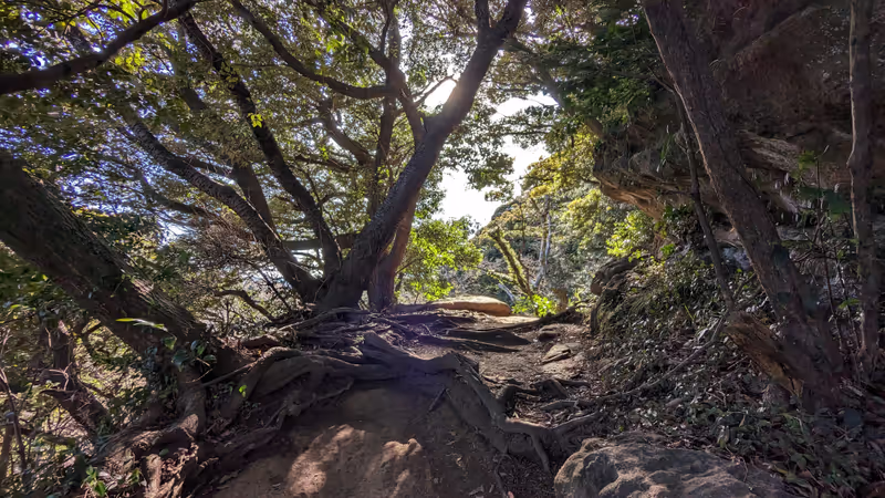 Kamakura Private Tour - On the mountain trails around Kamakura.