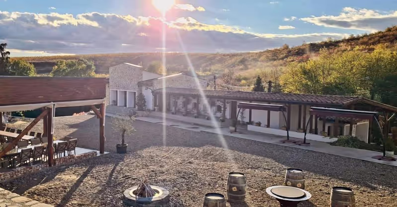 Bucharest Private Tour - a small family winery