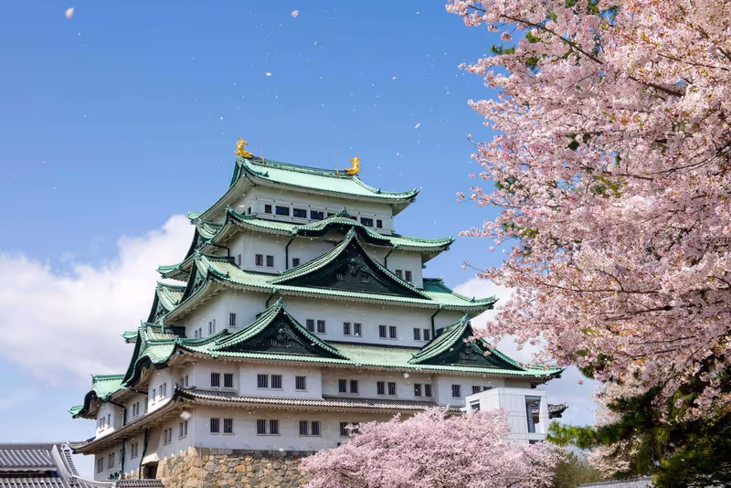 Nagoya Private Tour - nagoya castle