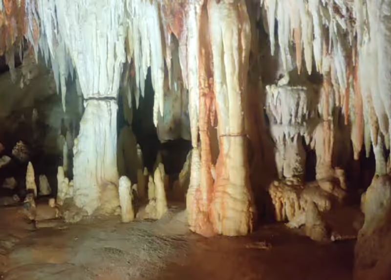 Madrid Private Tour - <AGUILA CAVES>
