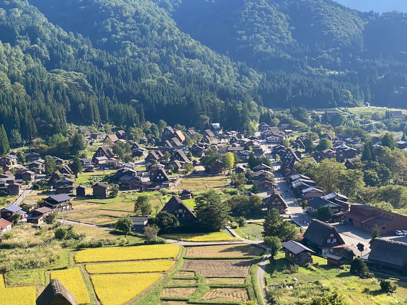 Kanazawa Private Tour - Shirakawago view from the hill