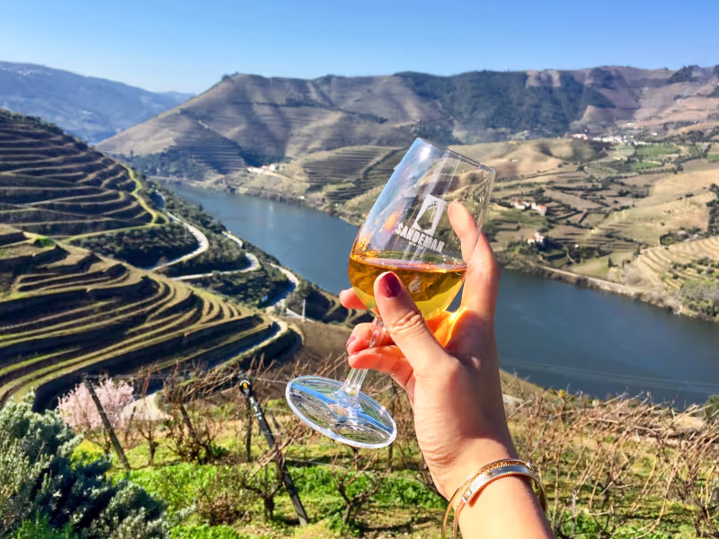 Porto Private Tour - Wine Tasting in Douro