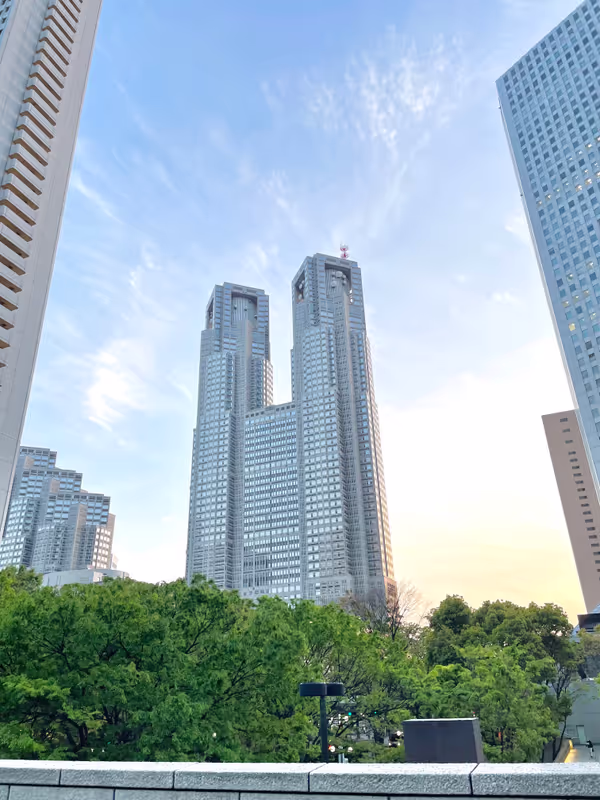 Tokyo Private Tour - Tokyo Metropolitan government office