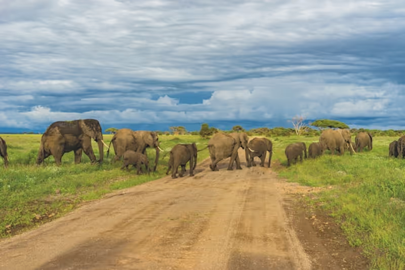 Kilimanjaro Private Tour - 