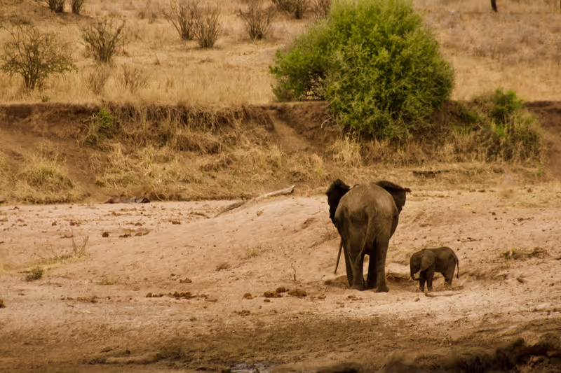 Kilimanjaro Private Tour - 
