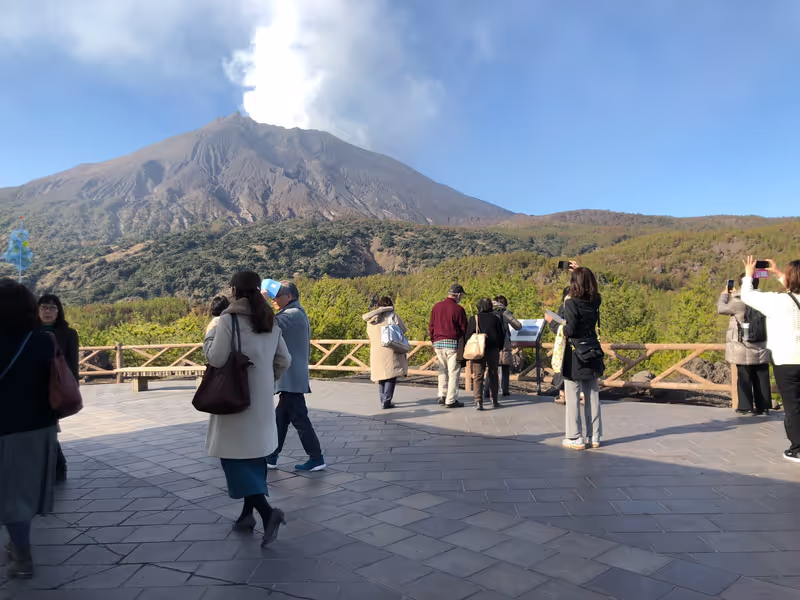 Kagoshima Private Tour - Arimura Lava Observatory.