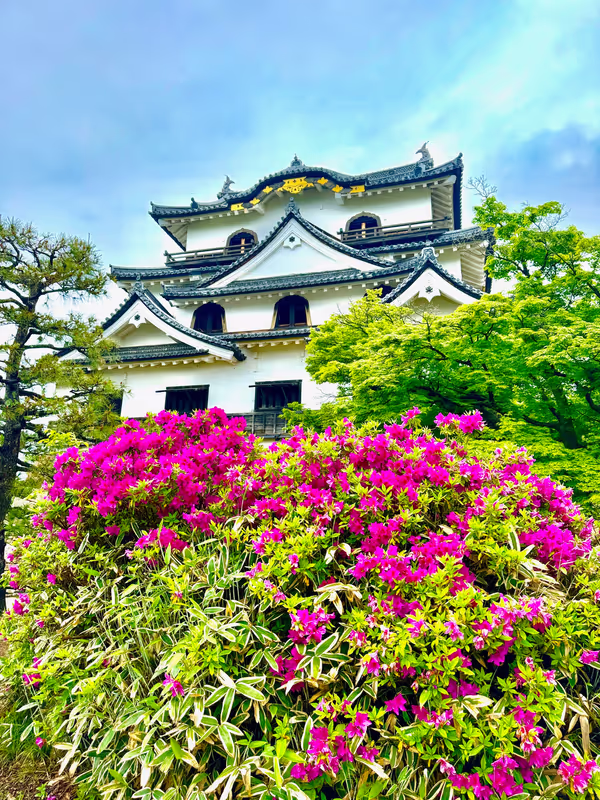 Shiga Private Tour - Hikone Castle