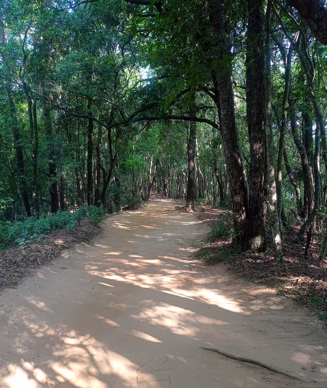 Kathmandu Private Tour - Walk through the Jungle
