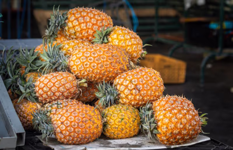 Azores Private Tour - Azorean Pineapple