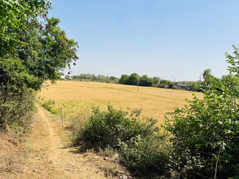 Delhi Private Tour - Beautiful view of Village