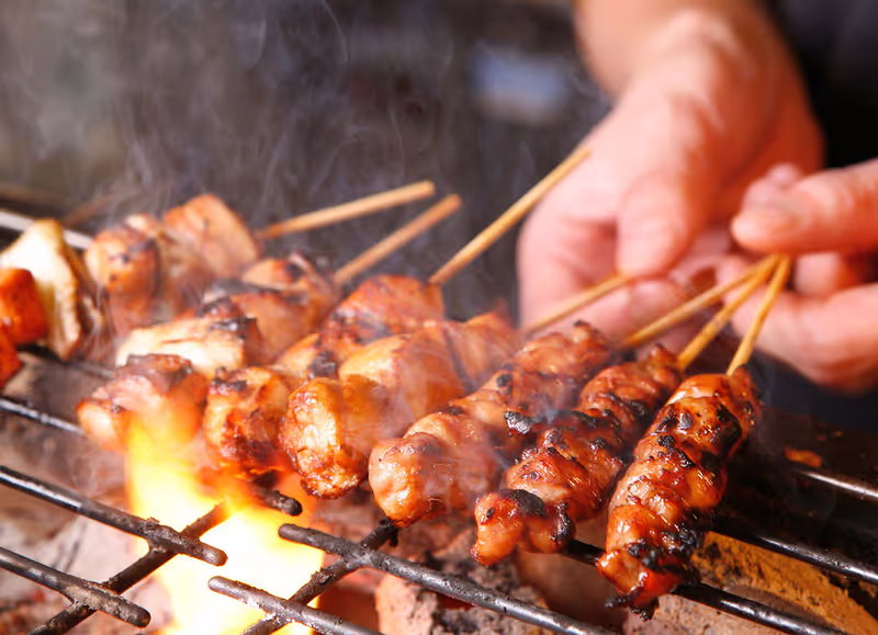 Aichi Private Tour - yakitori