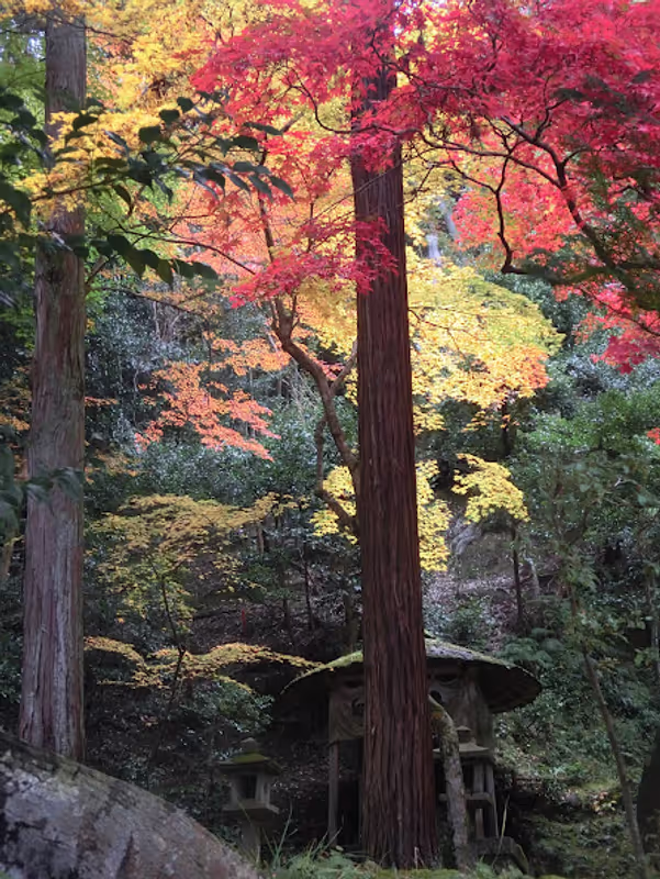 Kyoto Private Tour - Gohodo Benzaiten