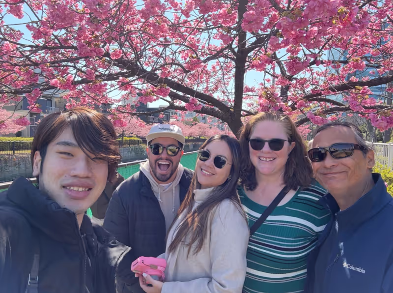Kyoto Private Tour - Sakura