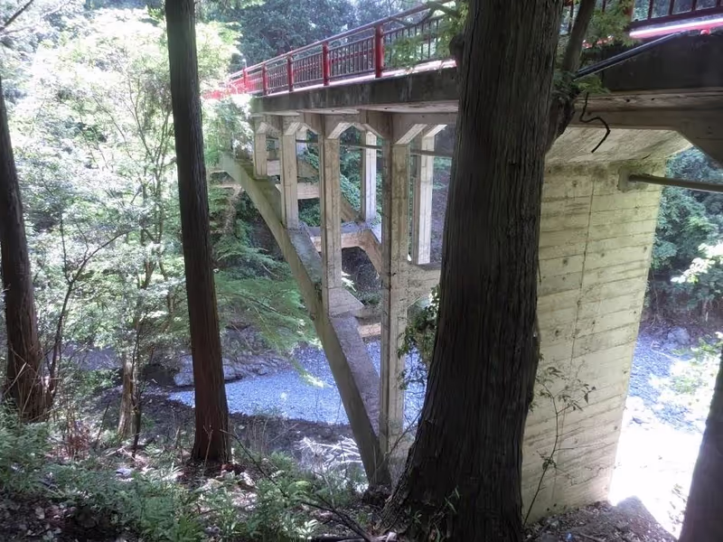 Kyoto Private Tour - Hozukyo bridge