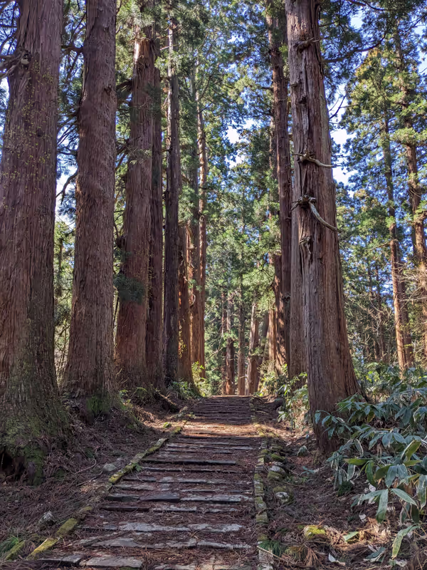 Yamagata Private Tour - 